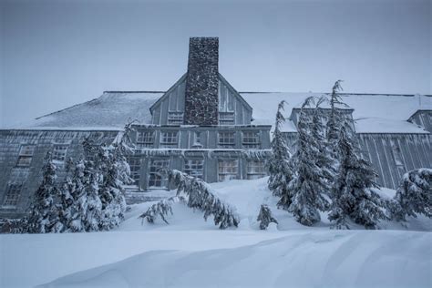 timberline lodge the shining facts